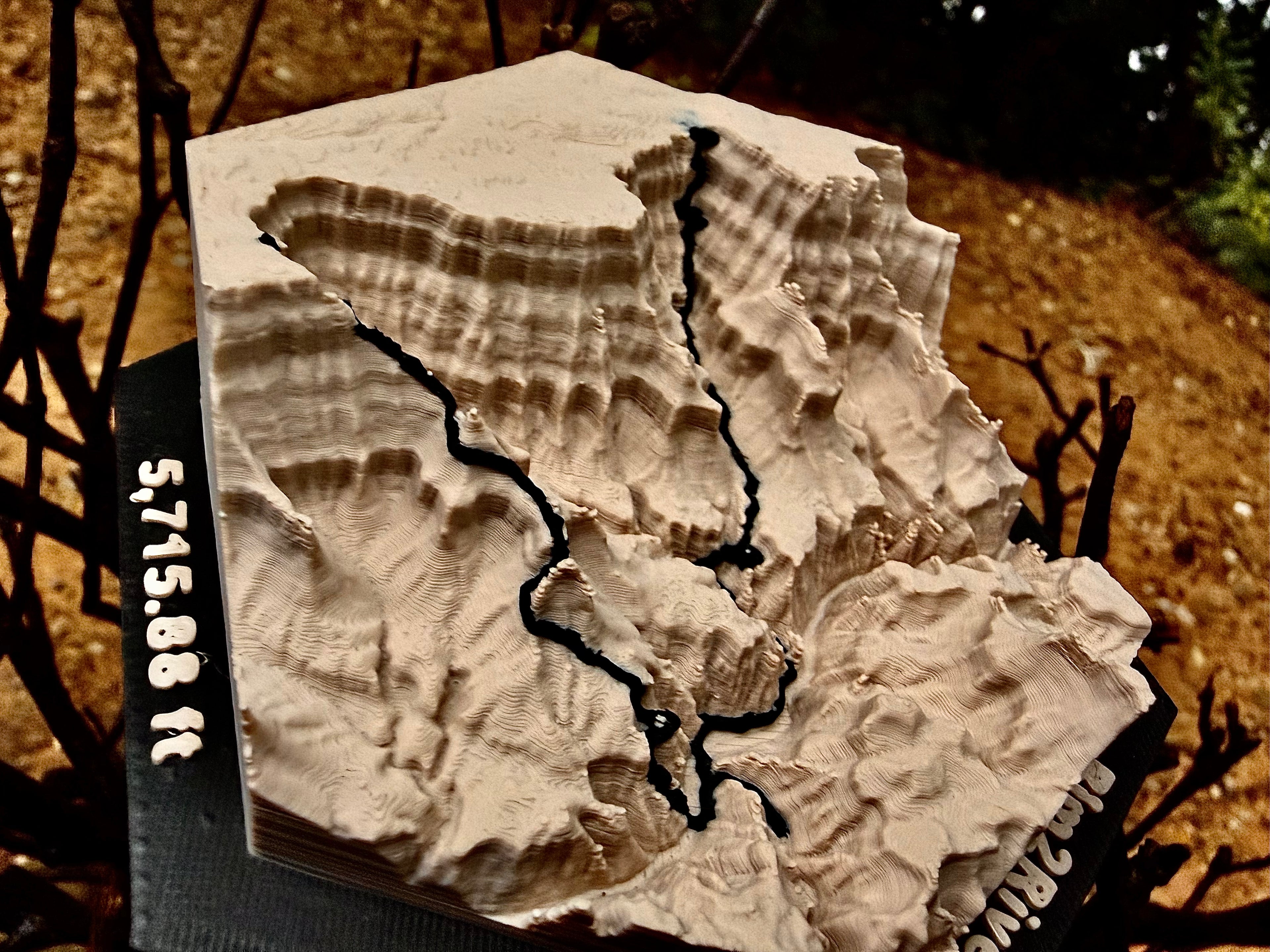 Custom Topo Map