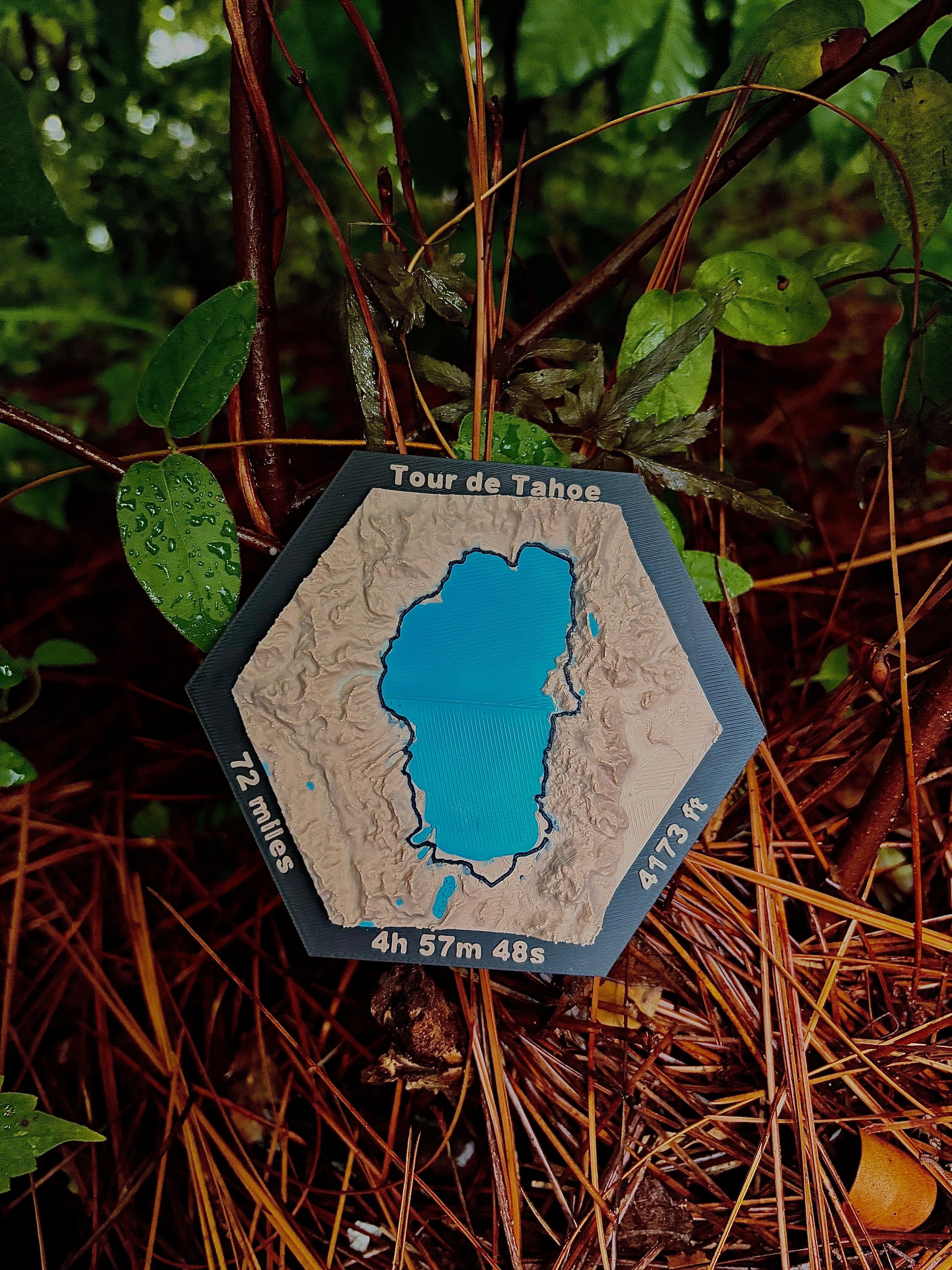 Custom Topo Map