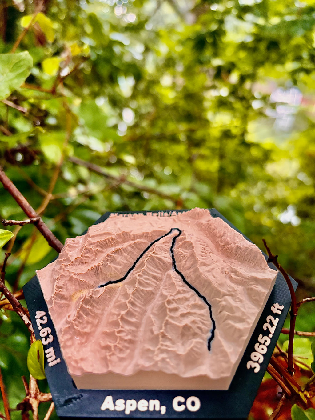 Custom Topo Map