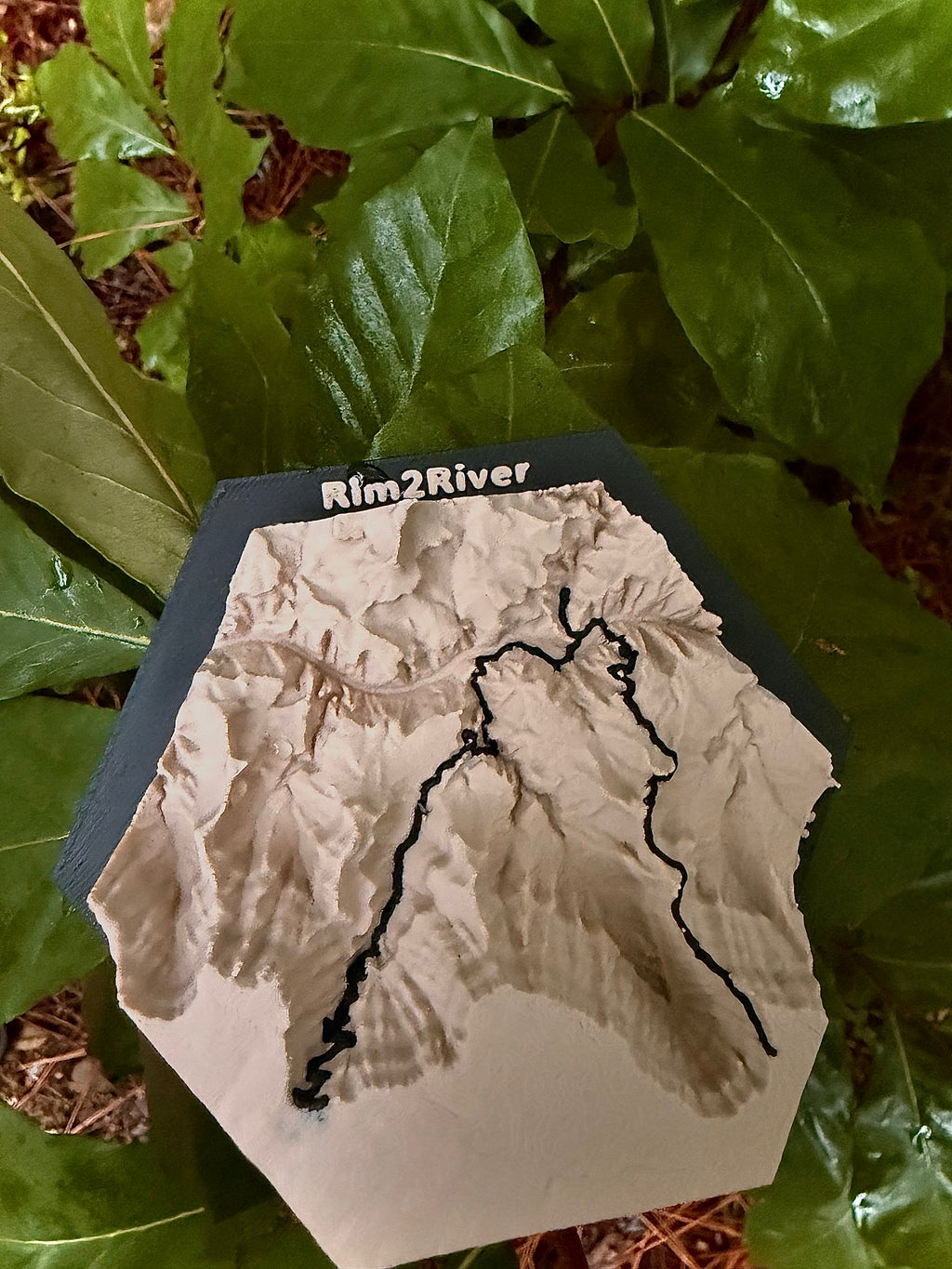 Custom Topo Map