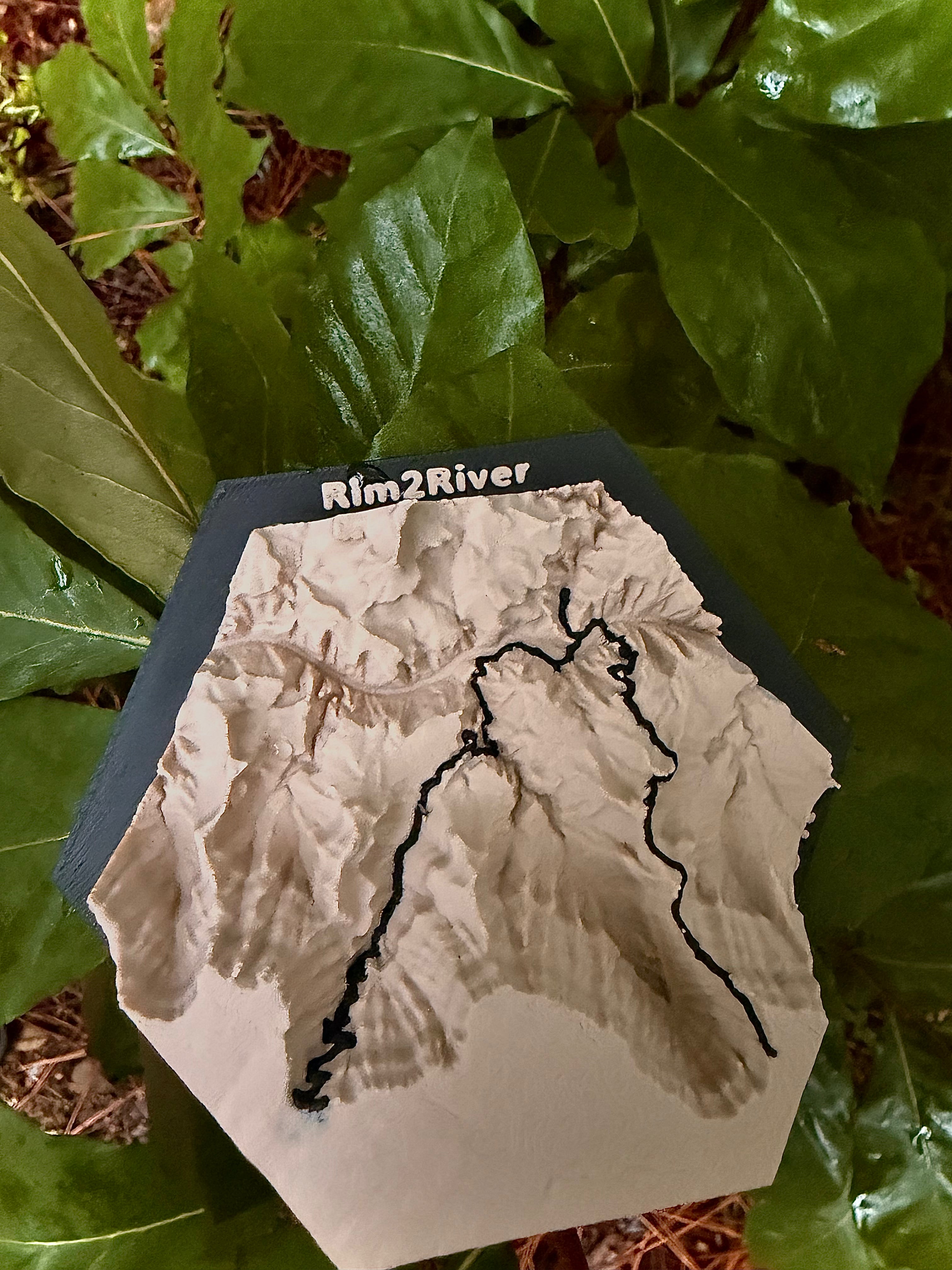 Custom Topo Map