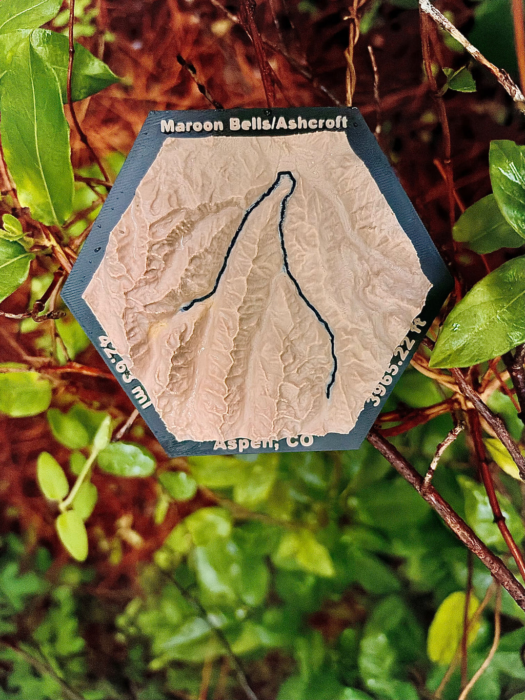 Custom Topo Map