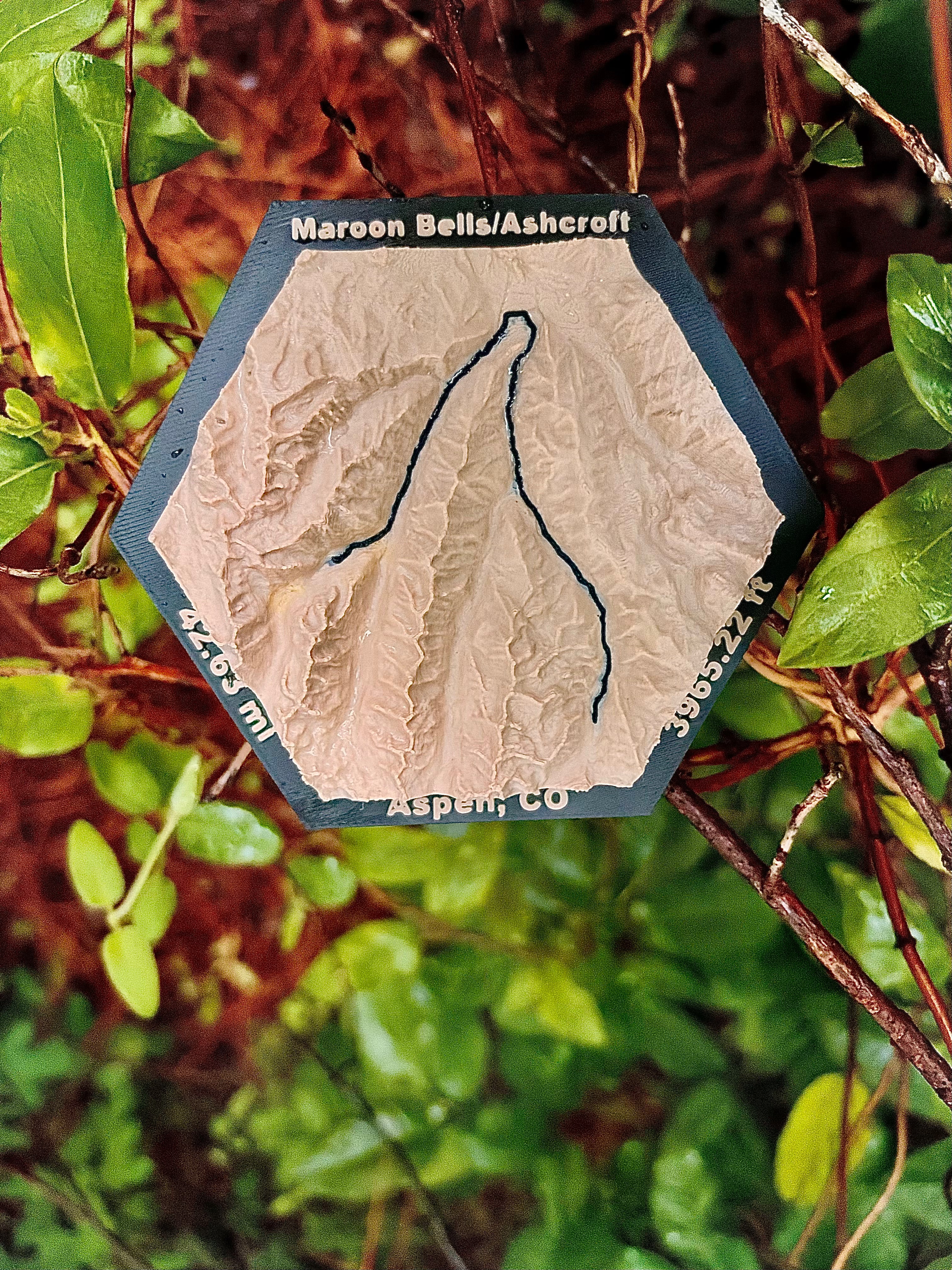 Custom Topo Map