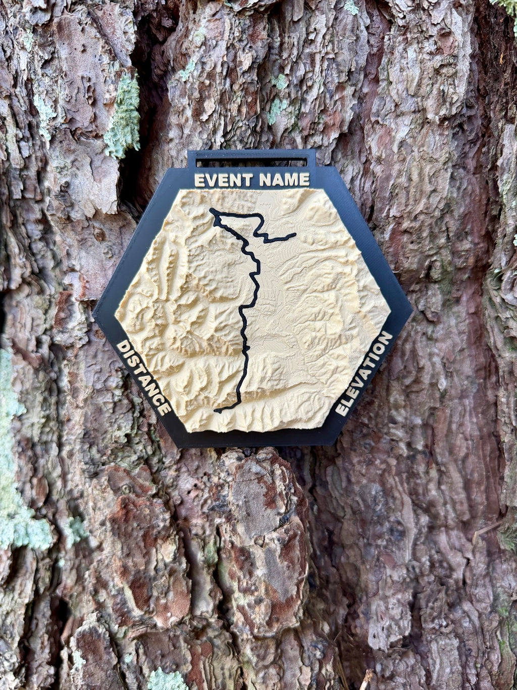 Race Topos hexagonal 3D topographic medal resting against tree bark, with cream terrain, a black route, and a ribbon slot.